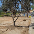 Reforma Paseo Carlos Cano