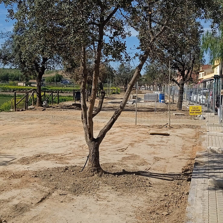 Reforma Paseo Carlos Cano