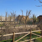 Parque de la Cañada 2023