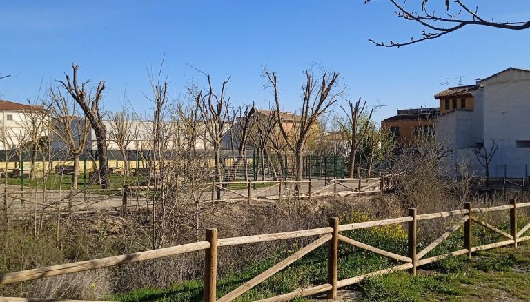 Parque de la Cañada 2023