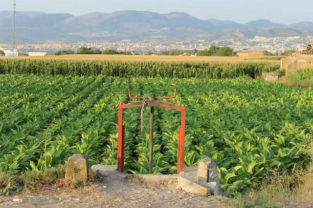 WhatsApp Image 2026-04-14 at 09.58.21