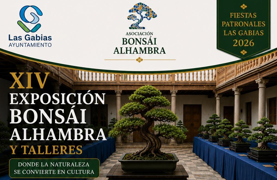 Captura de pantalla 2026-07-08 093951